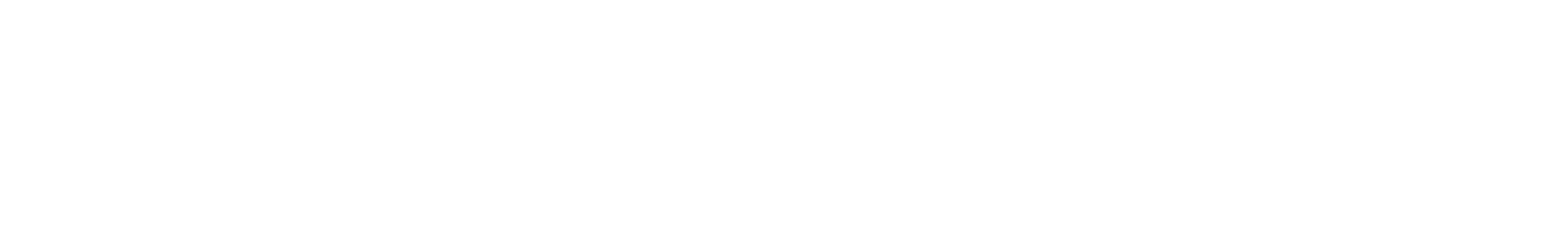 VERSIONARY